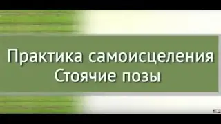Ли Холден Практика Самоисцеления