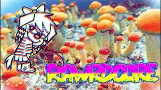 Rawrdcore's set from GAY2RAVE🎵[Audio Only]