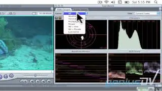 Color Correcting Multiple clips in Final Cut Pro