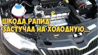 Шкода Рапид 2014 г.в. CFNA 1,6 застучал на холодную (( ЧТО ДЕЛАТЬ?