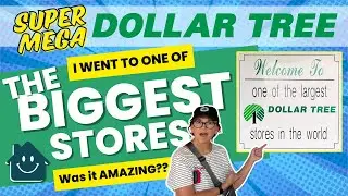 DOLLAR TREE Car Haul: NEW Finds from One of the LARGEST Stores in the World! | How Does It Compare?