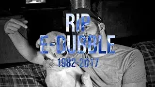 Top 10 e-dubble Songs