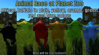 Pretty African buffalo run at Planet Zoo.
