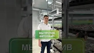 Мы против фитоламп ❌