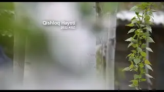 Village life and Fishing | Деревенская жизнь и Рыбалка | Qishloq Hayoti va Baliq ovlash..