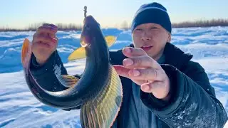 Рыбалка на Индигирке ((17 часть)АРКТИЧЕСКАЯ ЯКУТИЯ)