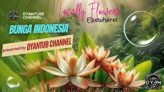 Locally Flowers, Elsewhere