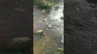 Skyrim Mod - Realistic Water 10 CE - Skyrim Century Edition