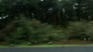Pt. 1