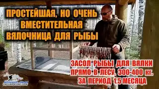 ЗАГОТОВКА РЫБЫ НА ГОД. ВМЕСТИТЕЛЬНАЯ ВЯЛОЧНИЦА ДЛЯ РЫБЫ И ПОСОЛ ДЛЯ ВЯЛКИ. Вяленая рыба это вкусно.