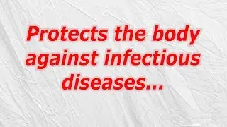 Protects the body against infectious diseases (CodyCross Crossword Answer)