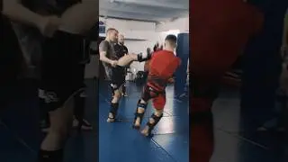 Counter atack low kick #mma #mixedmartialarts #technique #shorts