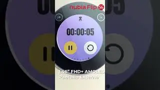 nubia Flip
