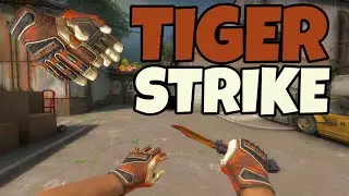 CS GO SKIN PACK SPECIALIST GLOVES "TIGER STRIKE" FOR CS 1.6 // HD CS:GO SKIN PACK FOR CS 1.6