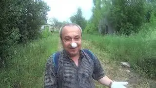 Обмен разумов