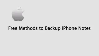 Four Free Methods to Backup Your iPhone Notes
