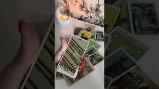 ❣️К чему Вас ведут Высшие силы⁉️ 