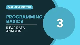 Programming Basics in R