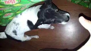 The hand attacks too