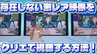 自分の島で存在しない激レア映像を見る方法！！
