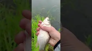 так не честно. 