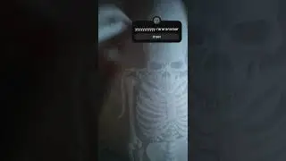 24 ноября 2023 г.