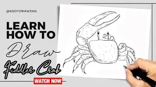 How to Draw Fiddler Crab Easy Drawing