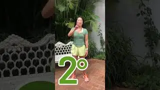 Sente muitas dores no pescoço?