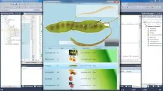 Wpf | Naby | 13 | Databinding - Master Détail & XML II | Chap. 13/3