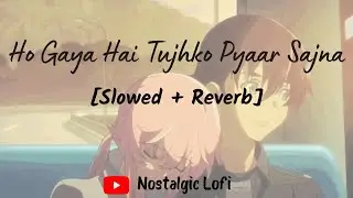 Ho Gaya Hai Tujhko Pyaar Sajna [Slowed + Reverb] | DDLJ | Udit Narayan, Lata Mangeshkar | #lofisong