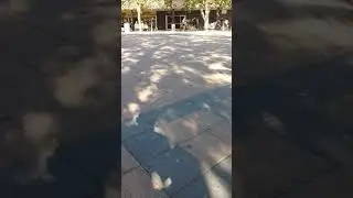 Two Australian bogan fight over who is the best parent