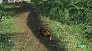 Crysis Punching a Chicken