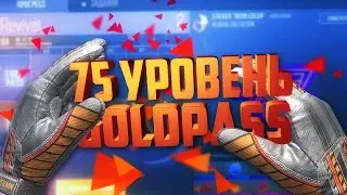 Поднял 75 уровень в GOLD PASS STANDOFF 2!