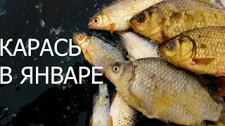 Ловля КАРАСЯ В ЯНВАРЕ