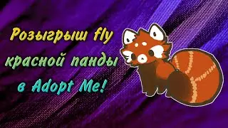 Розыгрыш fly красной панды в Adopt Me! Я решился её разыграть!
