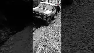 На 5 минут за хлебушком