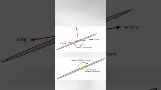 Why 104 m throw is not a world record ? #javelin #olympics #physics
