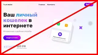 Крипто кошелек Trunk Wallet обманывает? Отзыв и экспертиза!