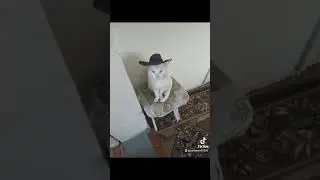 нина белая ночь🌙☁️