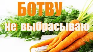Морковная БОТВА применение в  народной медицине, кулинарии.  Польза и вред ботвы моркови