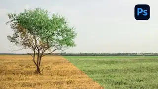 How to Change Yellow Leaves To Green Leaves Photoshop