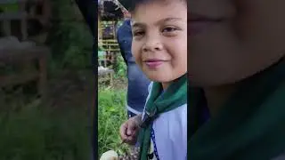 BOY SCOUTS SURVIVAL COOKING ACTIVITY