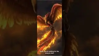 Fall Out Boy The Phoenix (lyrics)
