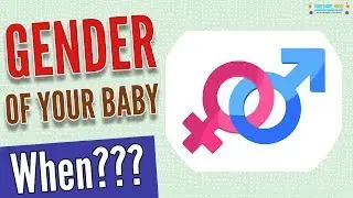 When do you find out the gender of your baby ? In which Week