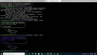 Dan Sheffner Live Stream