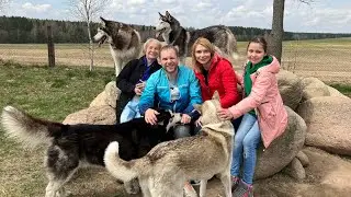 Путешествие в ХАСКИПАРК «Снежная Завея»