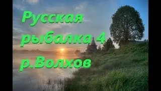 Русская рыбалка 4 - река Волхов ⊵ В поисках трофеев