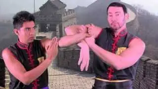 Learn Wing Chun's Bong Sau in One Minute | Sifu Tei