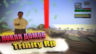 ЛОВЛЯ ДОМОВ TRINITY RP!!!