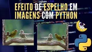 Tutorial Python | Efeito de Espelho em Imagens com Python - Tutorial Divertido